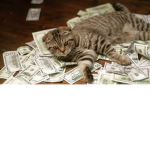 $Kats With Money$