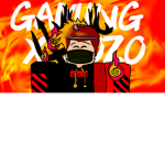 ZOZO GAMING