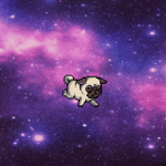 RealSuperPug Bros