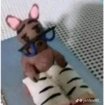 Dono a seguidores