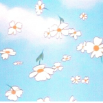 aesthetlux