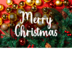 step into christmas