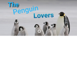 A Lot Of People That Like Penguins