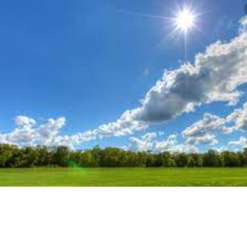 Sunny Day