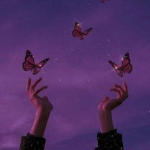 ᴀᴇsᴛʜᴇᴛɪᴄ • ʟᴀᴠᴇɴᴅᴇʀ