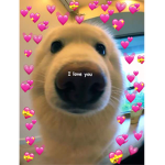 Je donne des ROBUX quand je peux !<3
