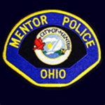 Mentor Swat Team