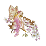 Fxairytulip