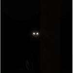 Project Unusual