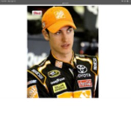 Pit Crew and Racing Day tona