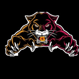 G-Ville Panthers home arena