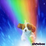 Doggy vomit
