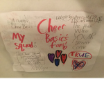 Cheer Basics Fans