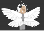 Angel's Clothing ~ Fab clothing for Cheap prices!