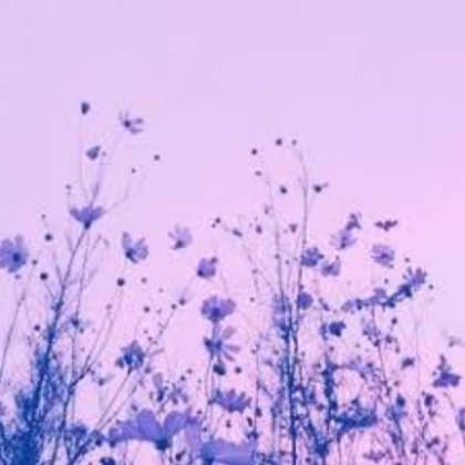 Purple Aesthetic Roblox decal