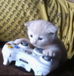 Kaspytos Games