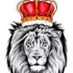 Swag Lion YT Official!!!