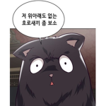 푸딩/pudding