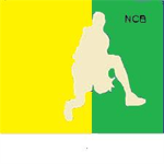 NBA Clutch Basketball™