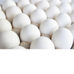 epic egg