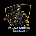 القوات الجويه