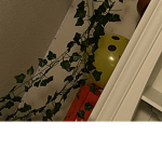 Mr. Gabe Itches