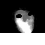 THE SHADOW CLAN...