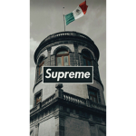 TACUACHES_ONLY
