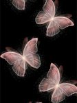 Shooting blinking stars