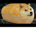The shiba group
