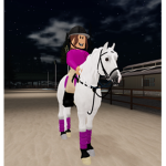 Hollow Woods Equine Apparel