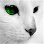 Diamondclan
