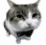 Frei -