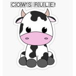 Cow's rule!