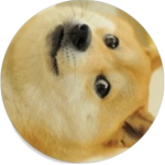 doge squad / group