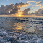 Ocean.co