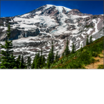 Evergreen Expeditions