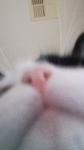 moopmoop