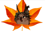 WillowKatz_Wcue