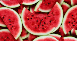 melon land