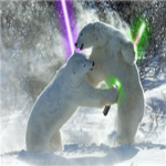 The Foundation of Fighting Bears