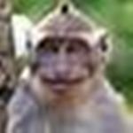 MonkyPower!