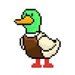 Quackchief’s duck squad