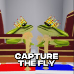 Capture the Fly...