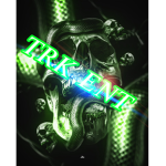 the real killaz ent (TRK)