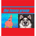 thefunnygroup