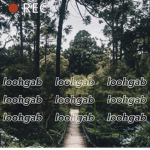 LOOHGAB