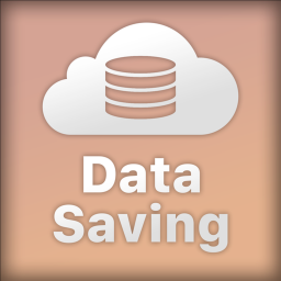 Data Saving Test (DS)