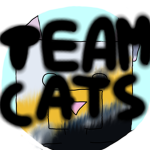 Team Cats / Equipo Gatos