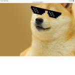 JOIN DA GROUP OR THIS DOGE WILL WILL NOT PROTECC U